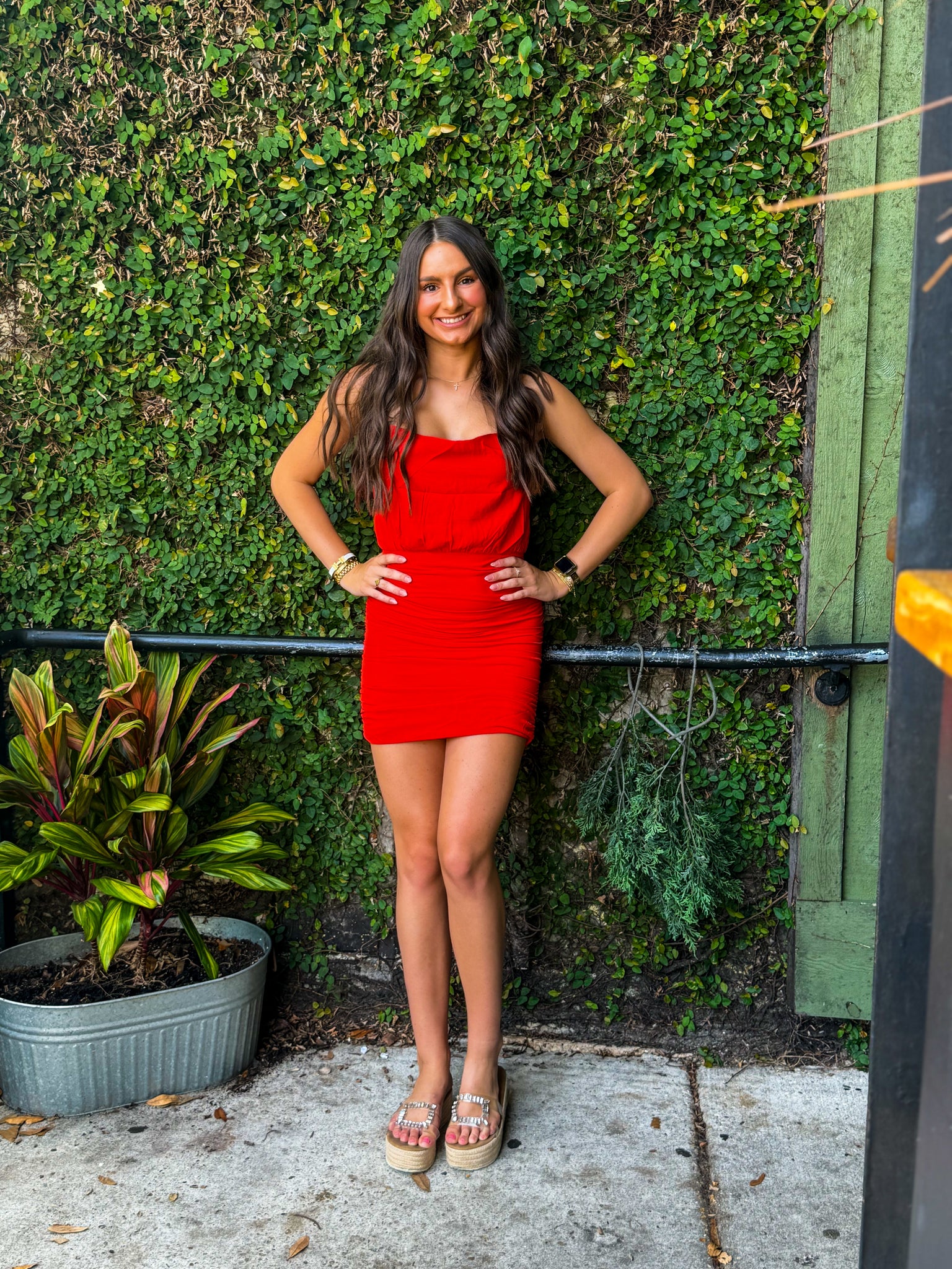 Scarlet Dress