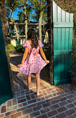 Pink Passion Dress